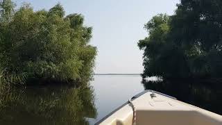 Danube Delta