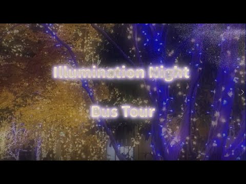 Illumination night bus tour