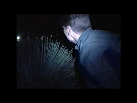 Забытый Феникс - Trailer