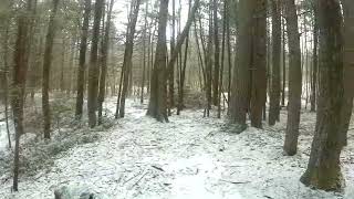 UpNorth Virtual Trail tour: Winter 2022 Tucker Brook Loop