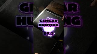 Gengar Hunting 👻Episode 1.#PokemonTCG #Gengar #PokemonCollector #PokemonCards #GengarCollection
