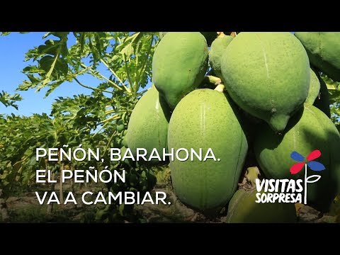 Peñón,Barahona  El Peñón va a cambiar 1080