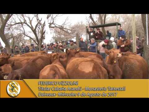 09-08-07 Nota Federico Vizzolini - Arandú - Monasterio Tattersall - Daireaux