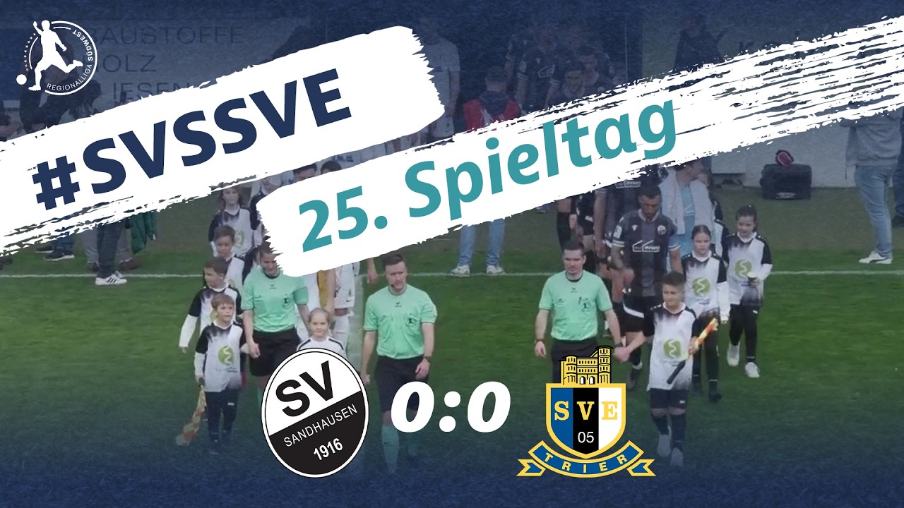 SV Sandhausen vs Eintracht Trier Highlights
