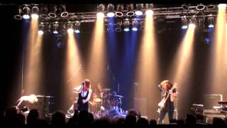 THE GATHERING - Analog park (2009)