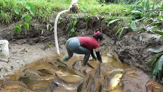 Amazing Fishing Skill Catch Giant Fish, Fishing Techniques With Machines Pump, Catch a Lots Of Fish