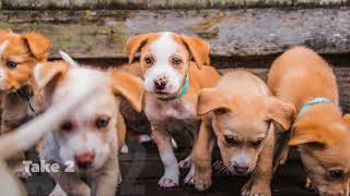 CWOB Holiday Card Photo Shoot