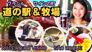 【ワインの町】道の駅＆牧場！【ブラジル生活】 Roteiro do vinho São Roque