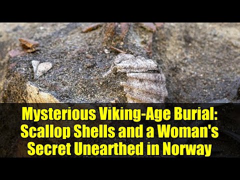 Mysterious Viking-Age Burial: Scallop Shells and a Woman's Secret Unearthed in Norway