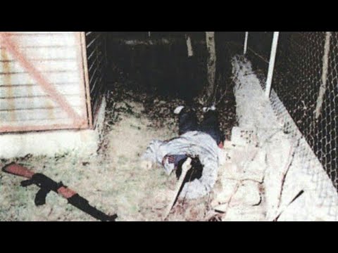 Ko je otkrio gde su vodje Zemunskog klana i kako su ubijeni  ( detaljno )