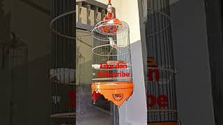 Download lagu Kecial Kombok Belajar Membawakan Materi Baru mp3