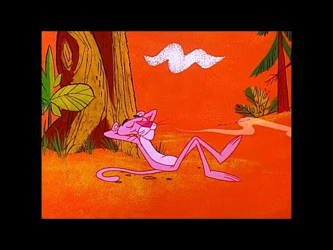 Pink Panther | 2025 Recap | Compilation