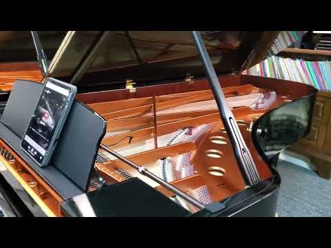 Atlantic Music Center | Bösendorfer 280VC ENCPRO Concert Grand.