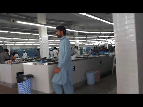 Matra fish market Oman