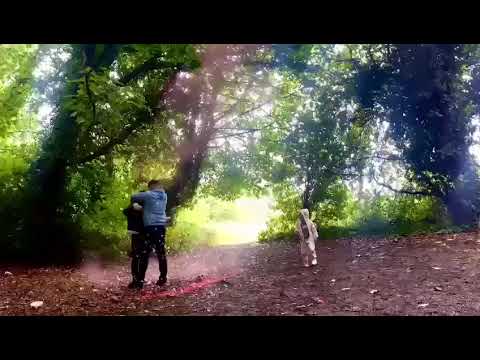 H & D  Gender Reveal  14-07-23