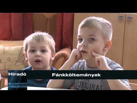 Híradó 2016. február 9.