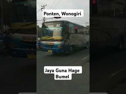 Bus Bumel #bumel #jayagunahage menuju Solo dari Baturetno