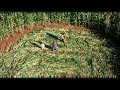 Formalist Cinema - Crop Circle Sequence from SIGNS [HD]