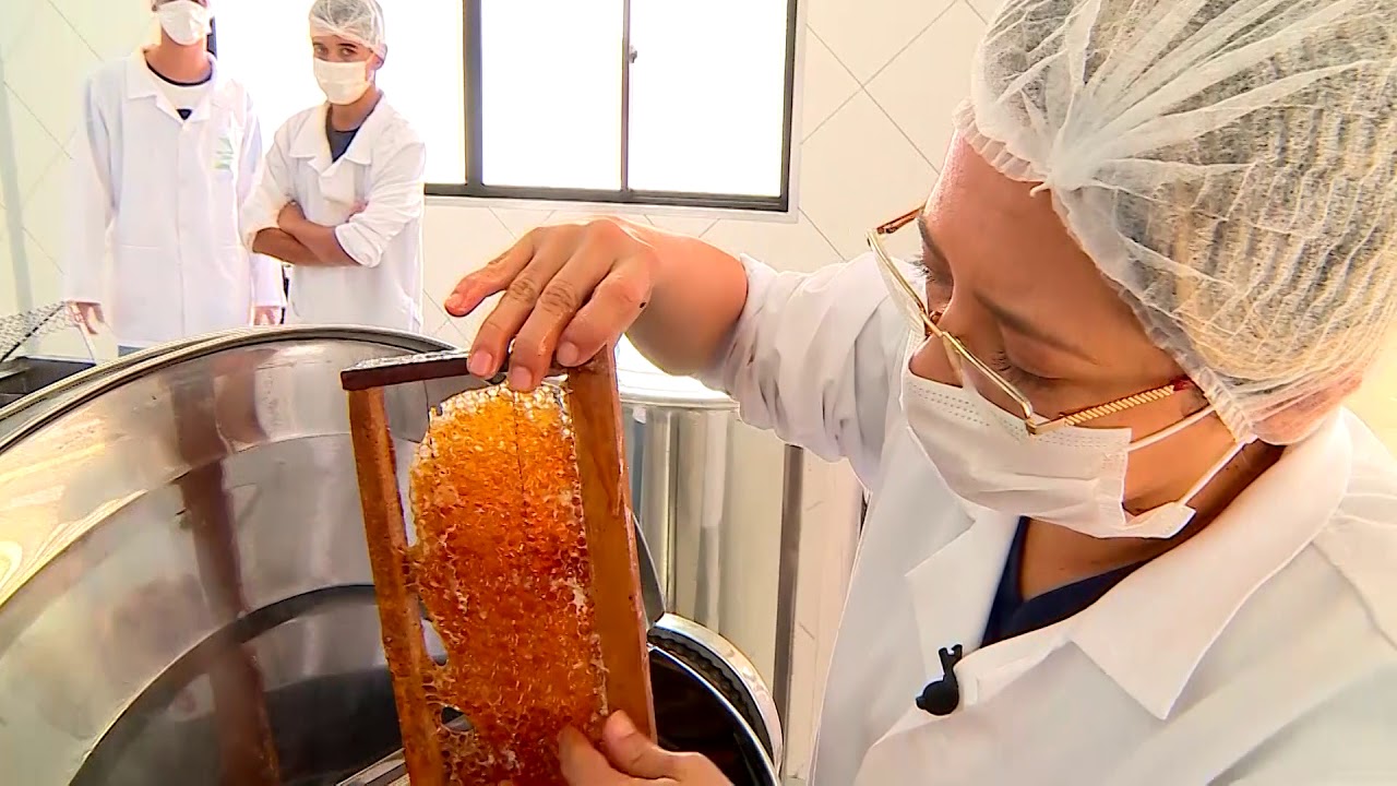 Tela Rural 2018 .31 - Matéria processamento mel