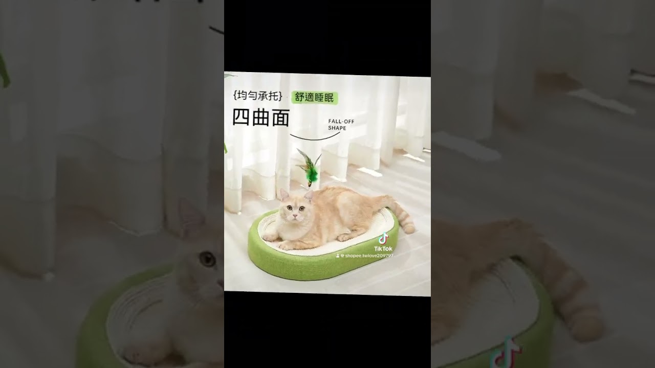 立即上蝦皮購物逛逛  https://s.shopee.tw/4q3arKUNlJ