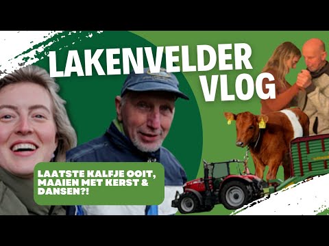 LAKENVELDERS - LAATSTE KALFJE OOIT NAAR BUITEN, MAAIEN IN DE HERFST EN KERSTDANS?