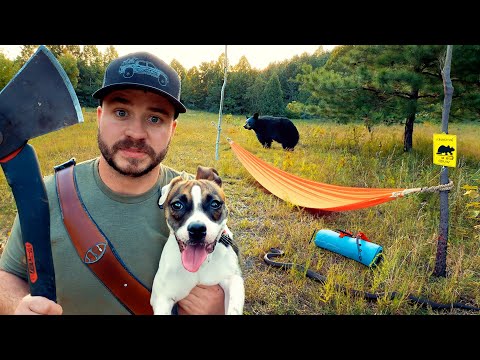 Overnight Camping and Hunting Until I Was Forced to Leave!