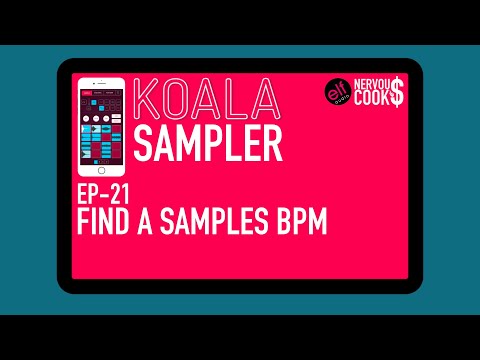 Koala Sampler Tutorial - EP 21 - Finding The BPM/Tempo Of A Sample