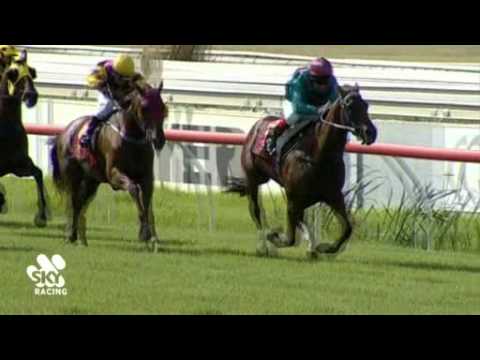 2012 R.M.Williams Magic Millions 3YO Trophy