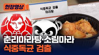 소비자원 춘리마라탕 식중독균 검출…샹츠·소림마라 땅콩소스엔 대장균 [현장영상] / 채널A