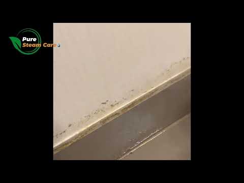 Pure Steam Care video.