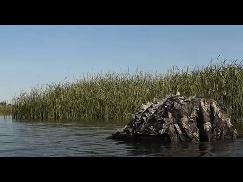 Hidrohide