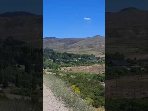 Las ovejas Norte Neuquino,  me encanta