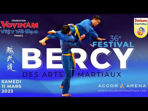 Démo Vovinam - 36e Festival des Arts Martiaux Accor Arena Paris Bercy 2023
