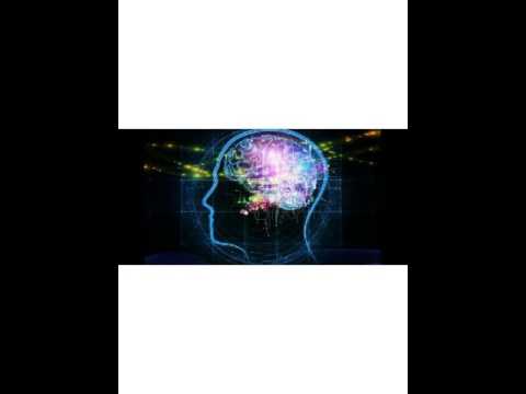 POtent POWER: MetaMind