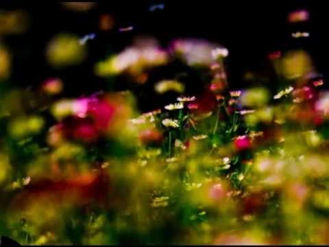 BleBla feat. Alisiana - YOU AND ME