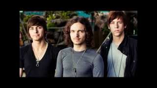 The Cab - Animal Lyrics