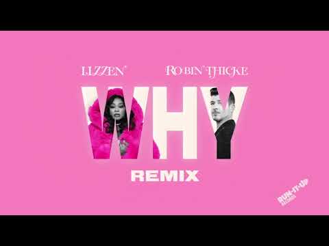 Lizzen x Robin Thicke - Why Remix [Official Visualizer]