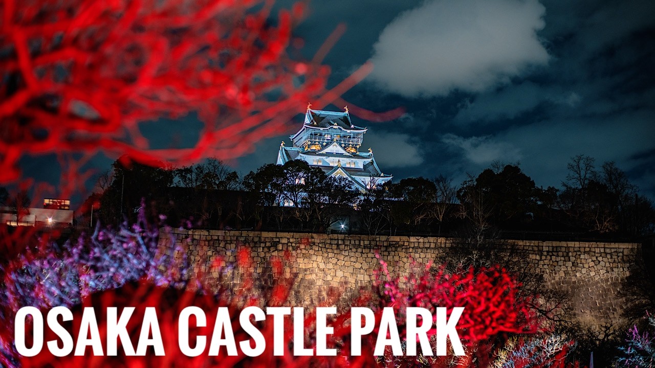 大阪城公園梅林園のライトアップ Osaka Night Walk - Osaka Castle Park Illumination of the Plum Grove 4K HDR Japan