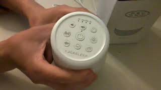 Yogasleep Duet White Noise Machine Review, Excellent as a wireless speaker; has some sounds that I e