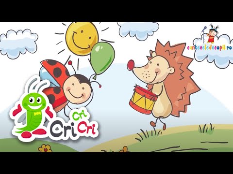 Arici Pogonici - Cantece pentru copii | CriCriCri