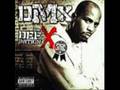 DMX-Aint no sunshine 