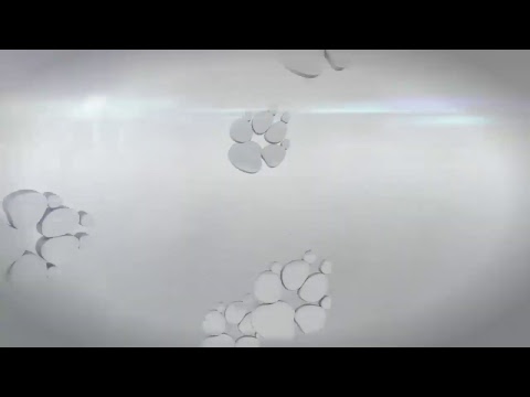 Lobos Cadena 7 Noticias (190301)