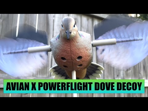 Avian X Powerflight Dove Decoy | UNBOXING & REVIEW! 1st LOOK!