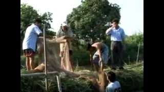 THỦY SẢN VIỆT NAM SỐ 01