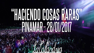 DIVIDIDOS - Haciendo Cosas Raras. Pinamar 28/01/2017