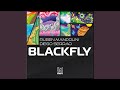 Blackfly (Ruben Mandolini Extended Vision)