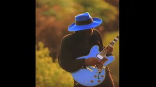 PRINCE &amp;ᵀᴴᴱNPG ⚜️ Strollin´ (Music Video) | Blu Ray