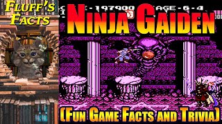 Ninja Gaiden NES Facts | Video Games 101