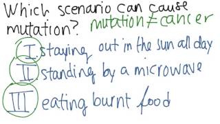 Mutation Causes (worked example)