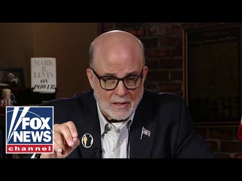 Levin: Dems have 'eviscerated' our laws